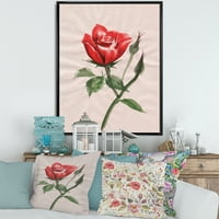 DesignArt 'Антички црвен роза цвет II' Традиционално врамено платно wallидно печатење
