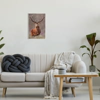 Sumbel elk портрет шума од шуми животни и инсекти сликарство wallидна плакета Нерамената уметничка печатена wallидна уметност