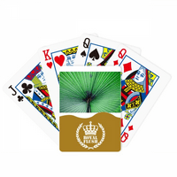 Фотографија Свежа Слика Природа Кралската Флеш Покер Игра Картичка Игра