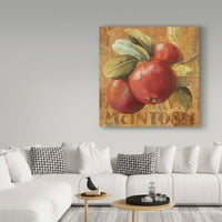 Трговска марка ликовна уметност „Apple Season II“ Canvas Art By Lisa Revity