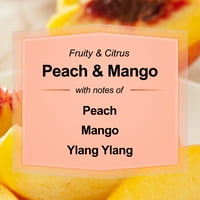 Главни теми со 3-вик омбре-завиткана манго миризлива свеќа, Оз