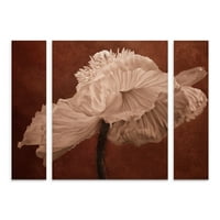 Трговска марка ликовна уметност „бело афион“ мулти-панел платно уметност сет од Кора Ниле