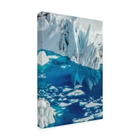 Трговска марка ликовна уметност „Ледениот лебди“ платно уметност од Дан Балард