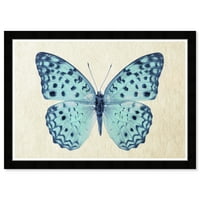 Wynwood Studio отпечати сина пеперутка животни инсекти wallидни уметности платно печати бел крем бел 19x13