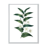 Дизајнарт Мали Бели Цветови Со Античко Растение Фарма Врамена Платно Ѕид Уметност Печатење